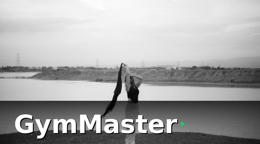 GymMaster — Aerial Yoga Là Gì?