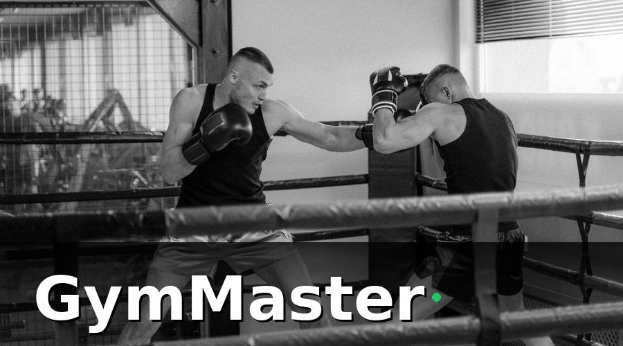 GymMaster — Các tính năng app di động thiết yếu cho võ đường Taekwondo