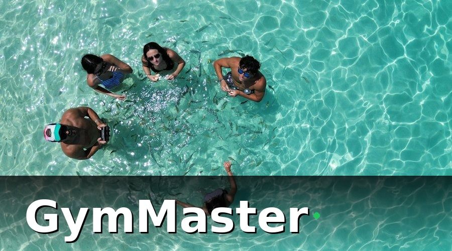 GymMaster — Cấu trúc mẫu báo cáo doanh thu bể bơi