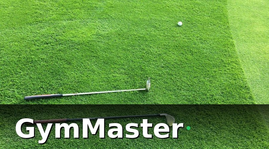 GymMaster — Cách thu thập dữ liệu chính xác