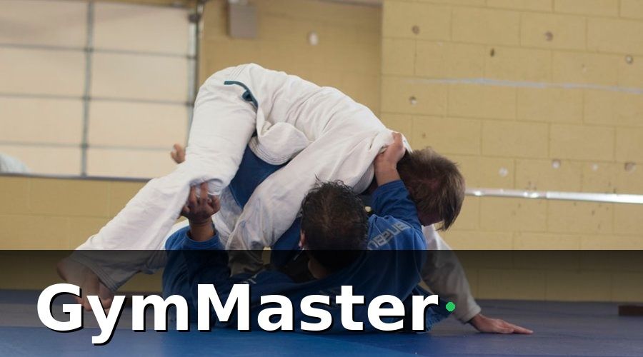 GymMaster — Tại Sao Võ Đường Vovinam Cần Báo Cáo Doanh Thu Bài Bản?