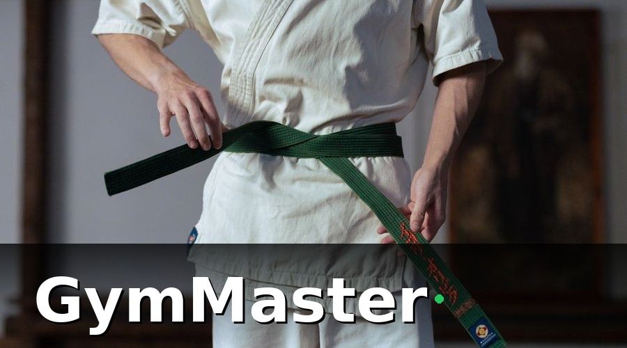 GymMaster — 1. Quản lý học viên theo đai cấp và lộ trình tập