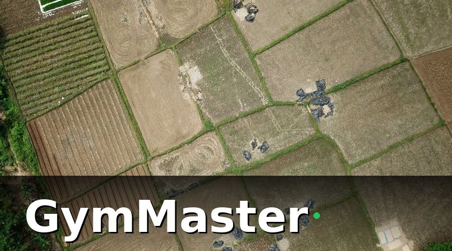 GymMaster — Bức tranh ban đầu: 10 chi nhánh, 10 cách quản lý