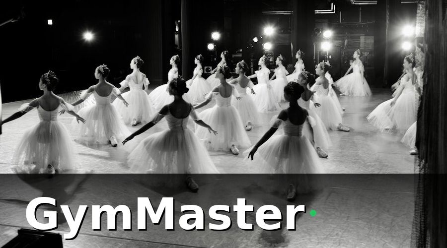 GymMaster — Bức tranh trước khi dùng GymMaster: 10 chi nhánh, 10 