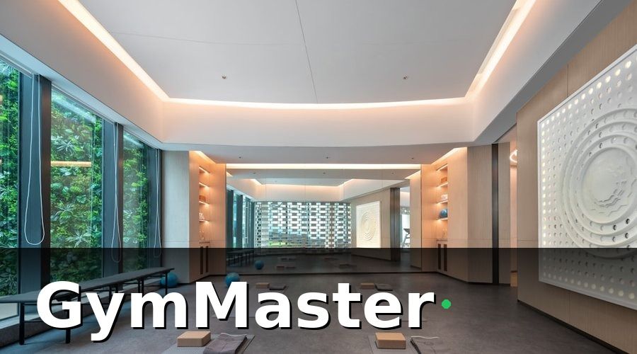 GymMaster — Bối Cảnh: Chuỗi 10 Chi Nhánh Và Những