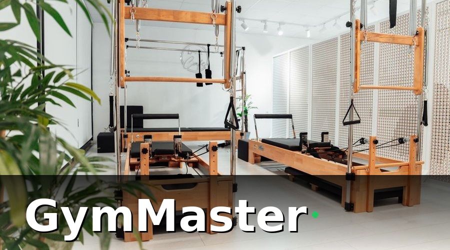 GymMaster — Bức tranh 