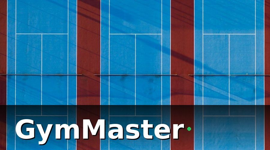 GymMaster — Bức tranh trước khi thay đổi: 10 chi nhánh, 10