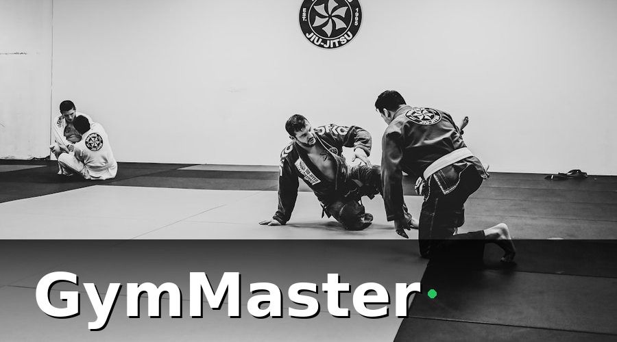 GymMaster — Bức Tranh Trước Khi Thay Đổi