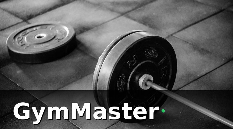 GymMaster — Bức Tranh Trước Khi Chuyển Đổi
