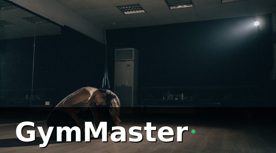 GymMaster — Bức Tranh Trước Khi Chuyển Đổi: 