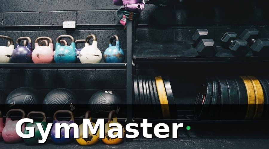 GymMaster — Timeline 6 tháng: Từng bước triển khai