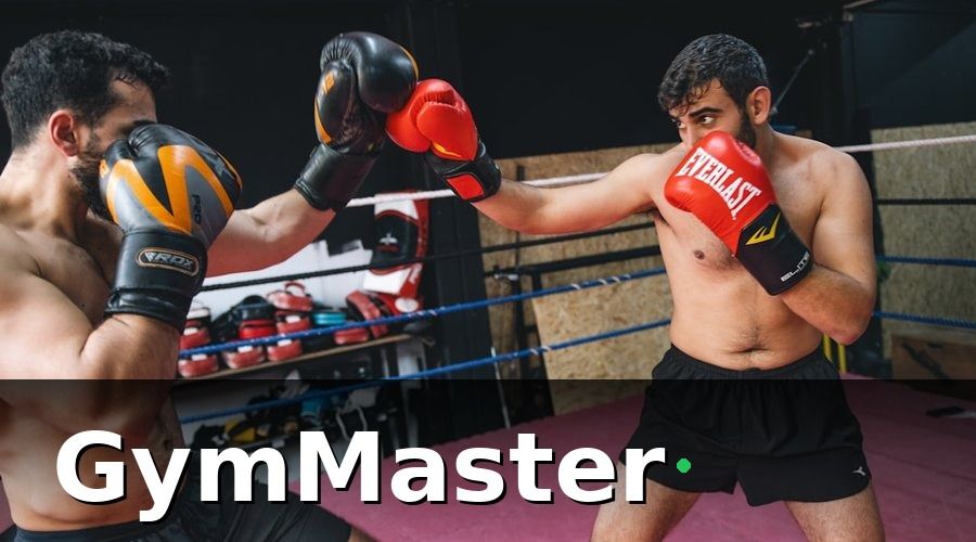 GymMaster — Bức Tranh Trước Khi Chuyển Đổi Số