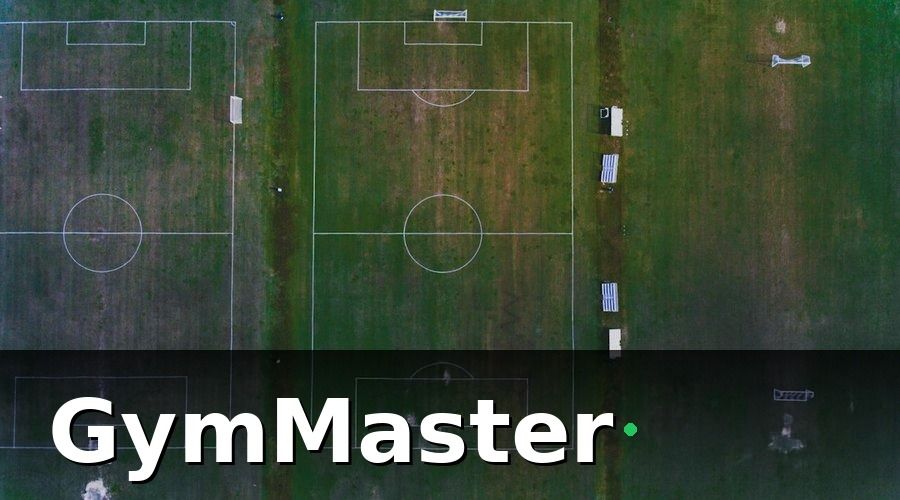 GymMaster — Vấn đề: quản lý thủ công khiến sân mất tiền