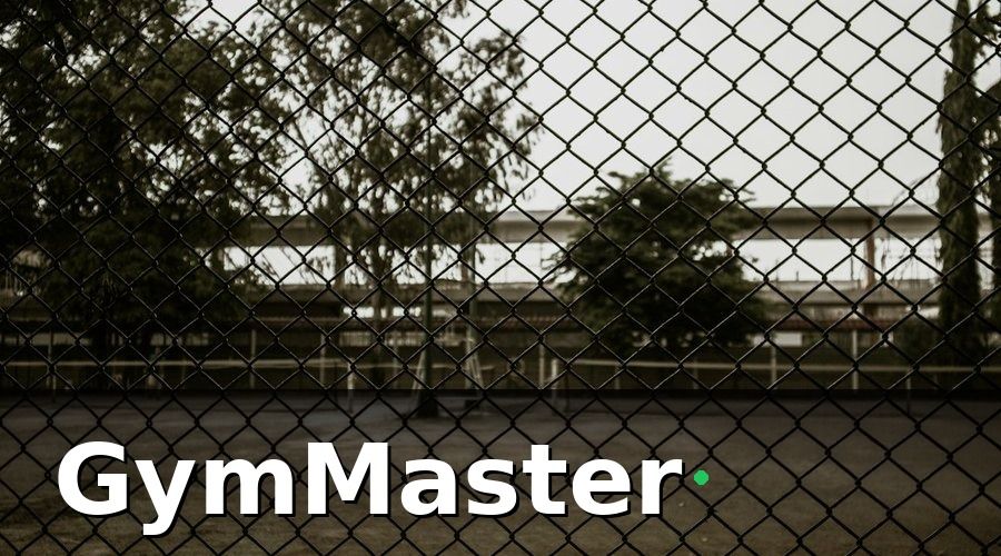GymMaster — Bức tranh trước khi thay đổi: 