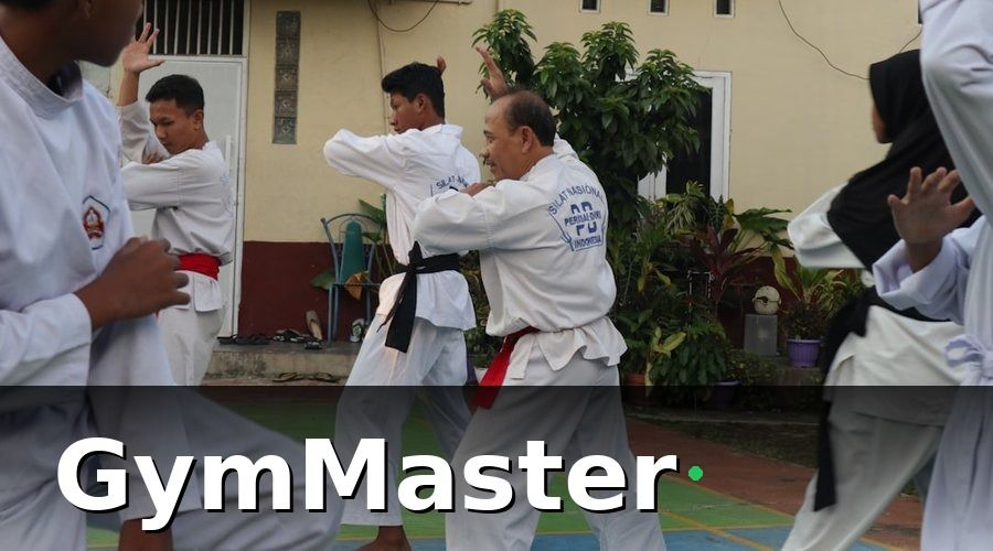 GymMaster — Bức Tranh Trước Khi Chuyển Đổi Số