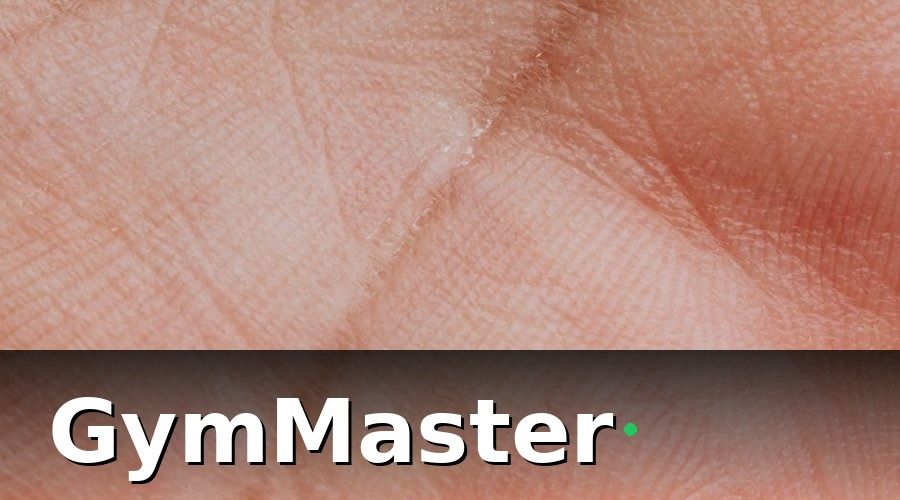 GymMaster — 2. Ba Phương Thức Check-in Tự Động Cho Phòng MMA