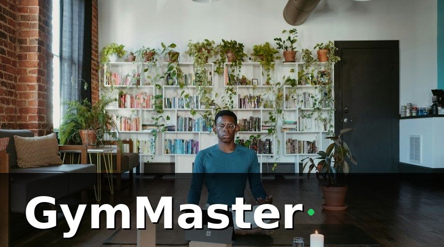 GymMaster — Kiểm tra khả năng tích hợp phần mềm