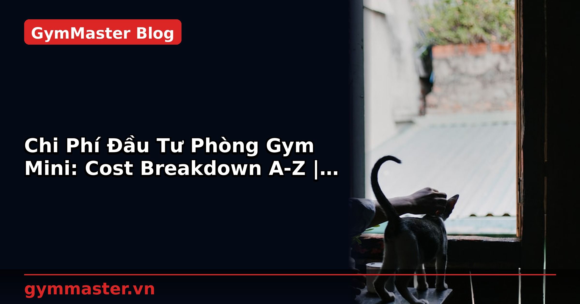Chi Phí Đầu Tư Phòng Gym Mini: Cost Breakdown A-Z | GymMaster