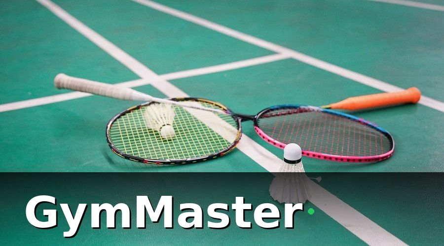 GymMaster — 1. Tổng quan mô hình sân cầu lông tại Việt Nam