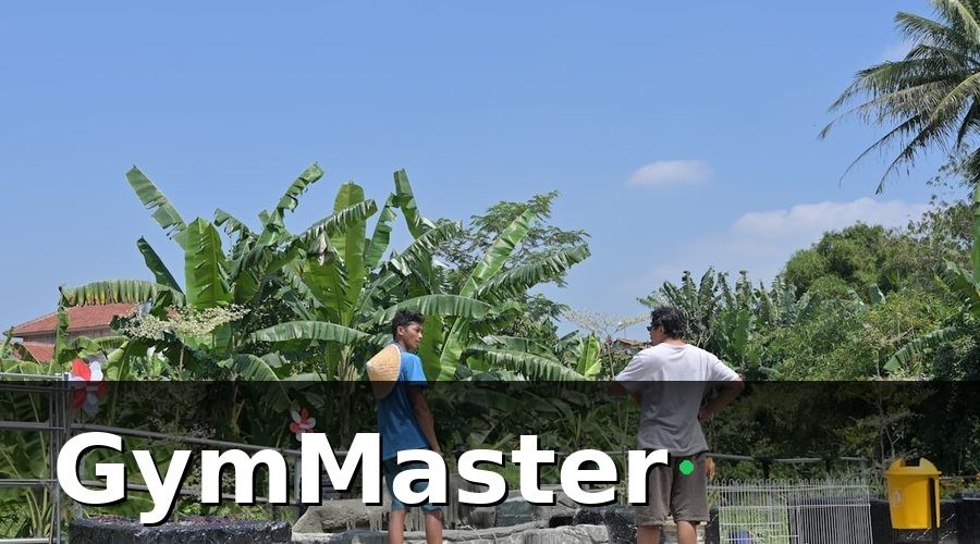 GymMaster — Chi Phí Xây Dựng Hồ Bơi: Khoản Đầu Tư Lớn Nhất