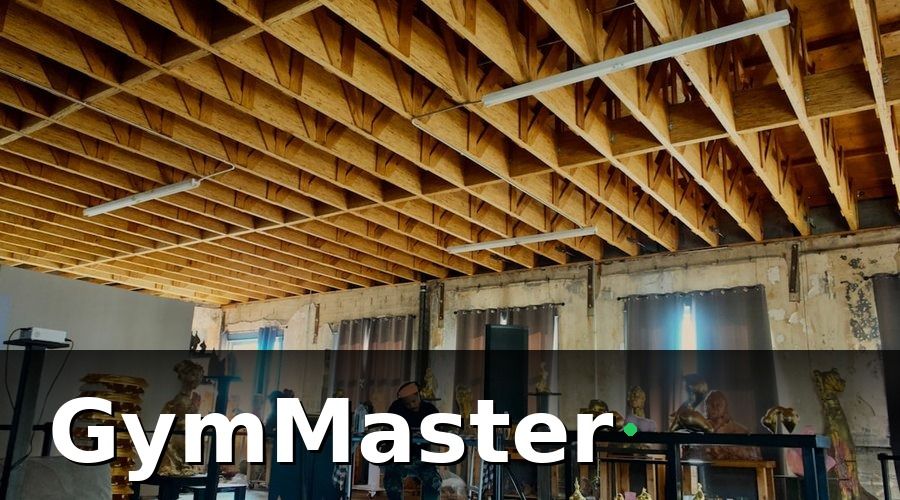 GymMaster — 2. Chi phí mặt bằng và cải tạo