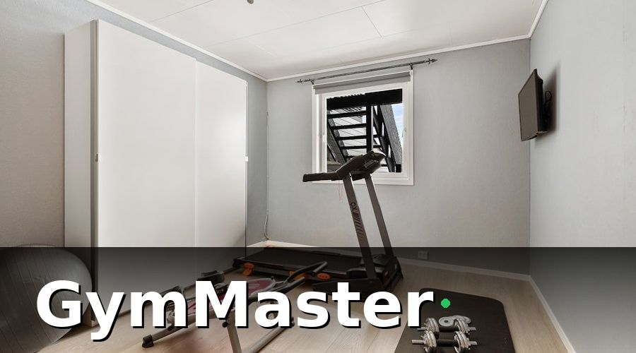 GymMaster — 1. Xác định phân khúc và chân dung khách hàng mục tiêu