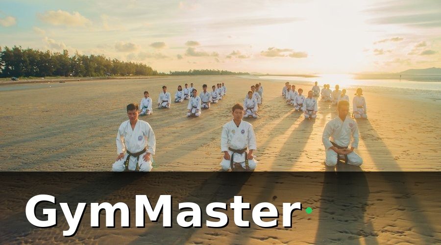 GymMaster — KPI là gì và tại sao võ đường Taekwondo cần theo dõi?