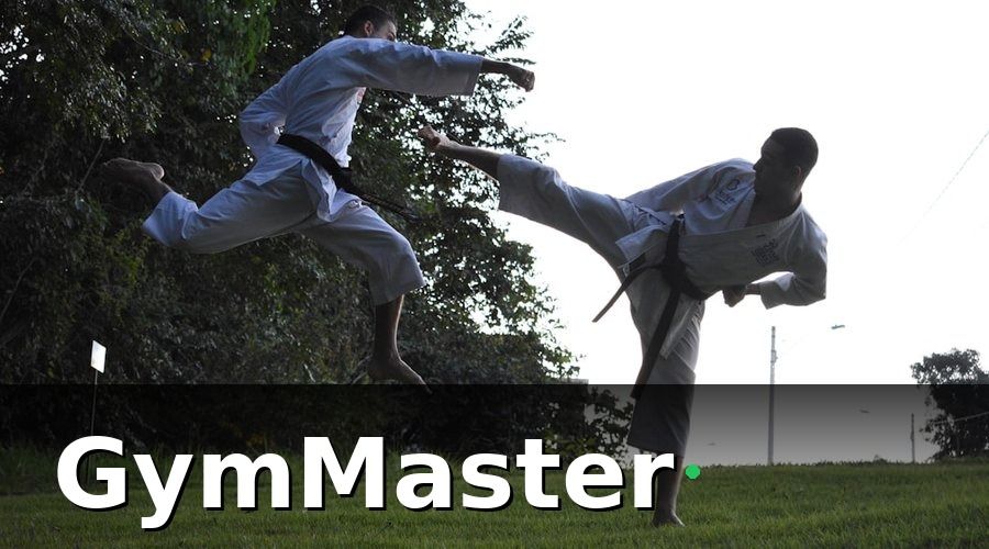 GymMaster — Loyalty Program Là Gì và Tại Sao Vovinam Cần?