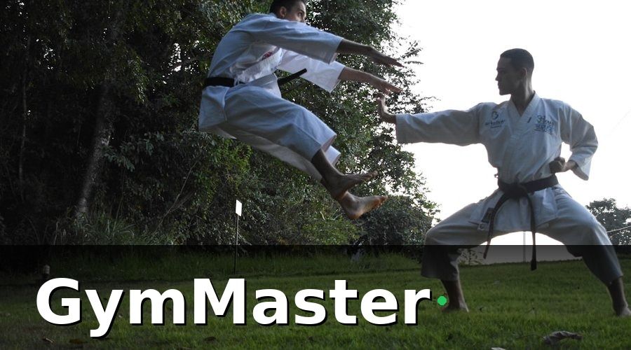 GymMaster — Các Mô Hình Loyalty Program Phù Hợp Cho Võ Đường Vovinam