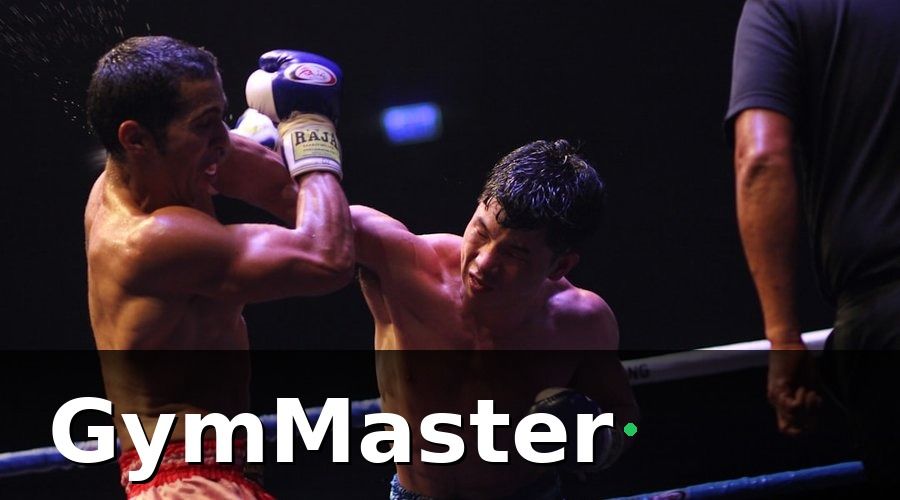 GymMaster — Tại Sao Marketing Digital Là Bắt Buộc Với Phòng Muay Thái?