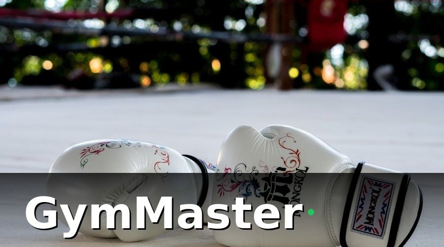 GymMaster — Tại Sao Phòng Tập Boxing & MMA Cần Phần Mềm Riêng?
