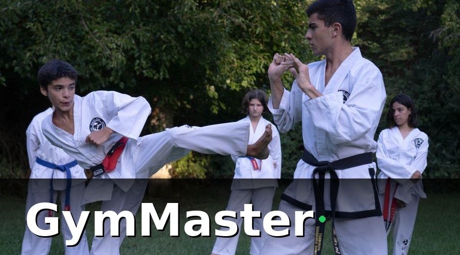GymMaster — Võ Đường Vovinam Có Khác Phòng Gym Hay Không?