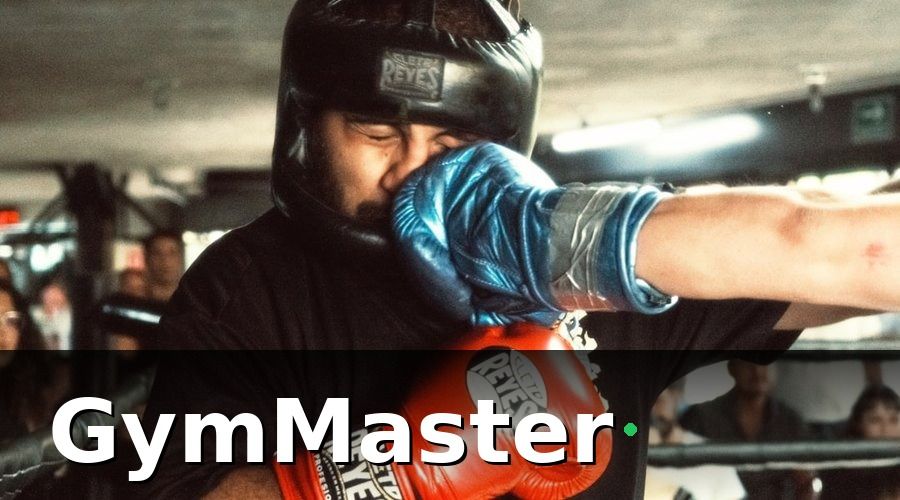 GymMaster — 8 Chiến Lược Giữ Chân Hội Viên Phòng Boxing Hiệu Quả