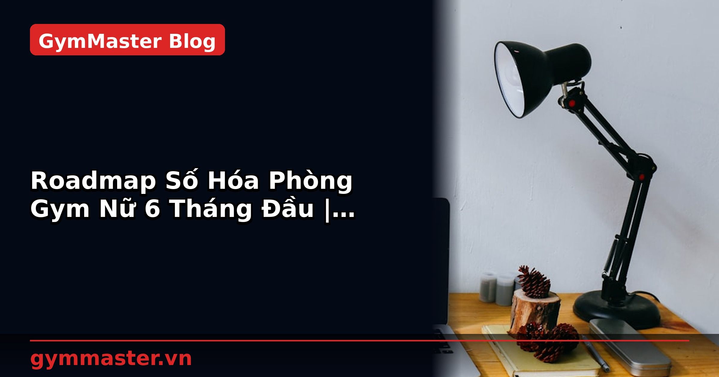 Roadmap Số Hóa Phòng Gym Nữ 6 Tháng Đầu | GymMaster