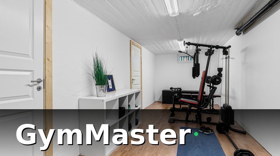 GymMaster — 1. Phòng gym mini — Từ 
