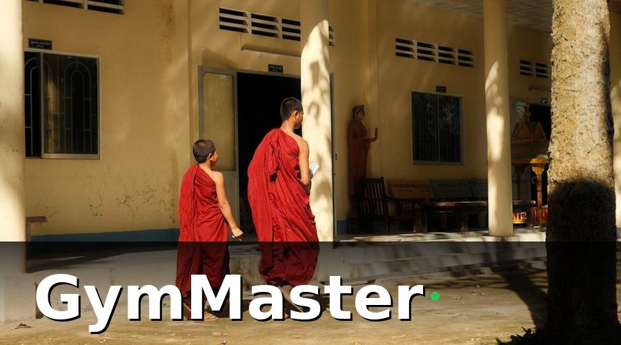 GymMaster — Karate 2026 — Bức tranh thị trường tại Việt Nam