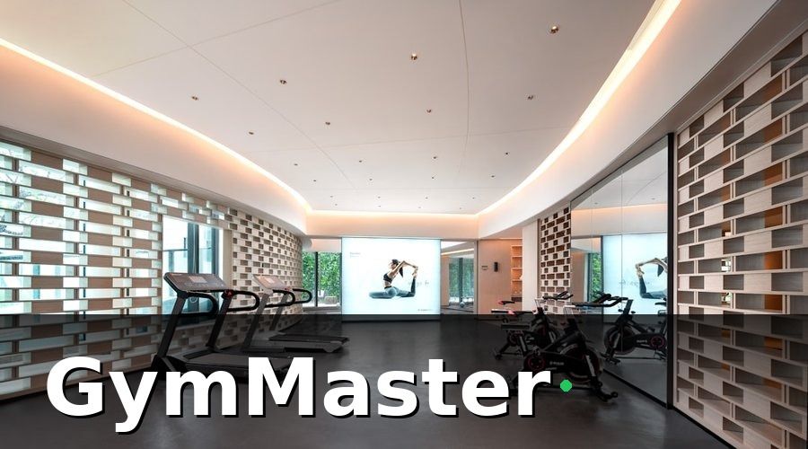 GymMaster — 2. Mô hình lai: MMA + Fitness kết hợp dưới một mái nhà