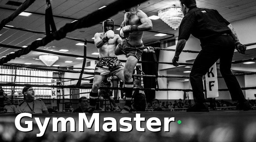 GymMaster — 1. Taekwondo kết hợp thể lực — xu hướng tập luyện lai (hybrid)