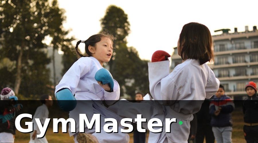 GymMaster — Tại sao võ đường Taekwondo cần Zalo OA?
